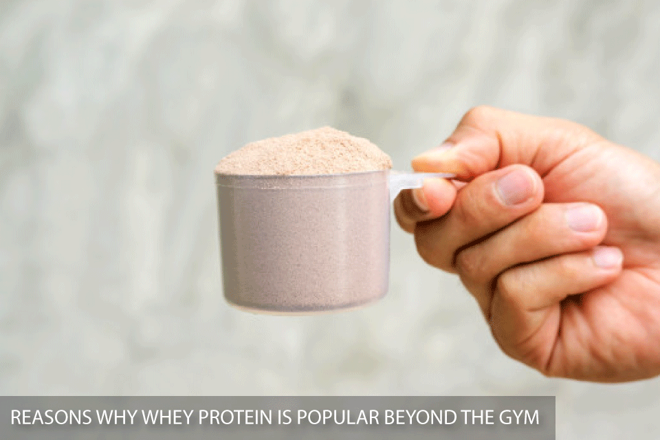 Reasons Why Whey Protein Is Popular Beyond The Gym